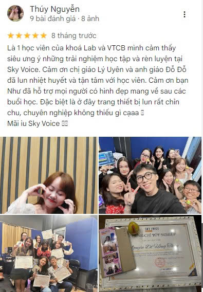 Feedback Sky Voice FB